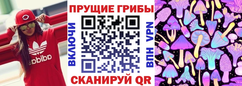 Купить закладки  Губкинский  Псилоцибиновые грибы прущие грибы 