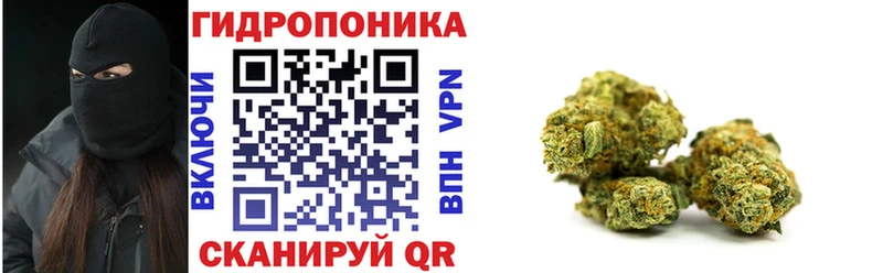Бошки Шишки планчик  Купить  Губкинский 